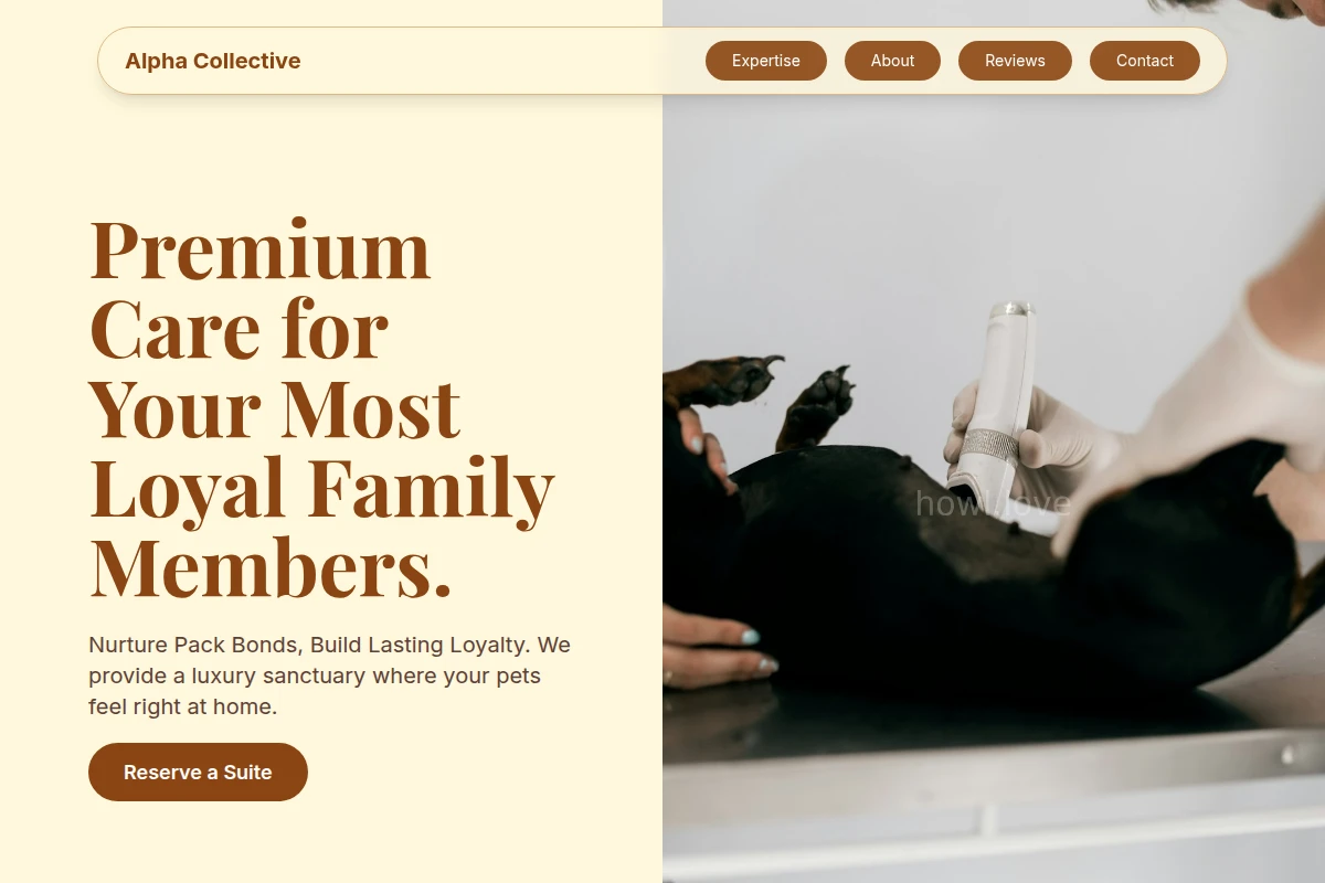 Kennel Animal Care