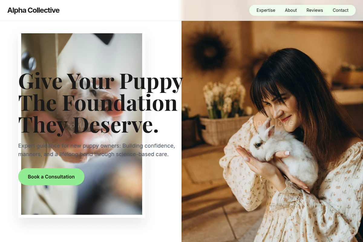 Puppy Animal Care