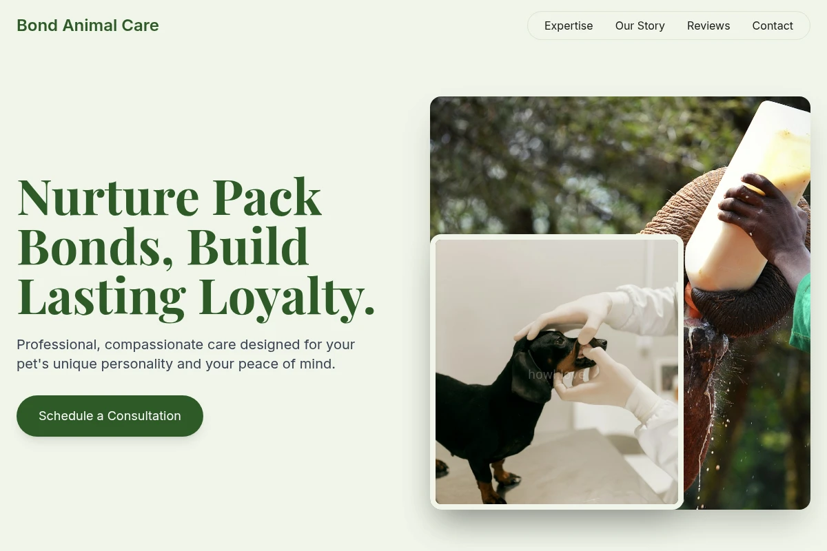 Bond Animal Care