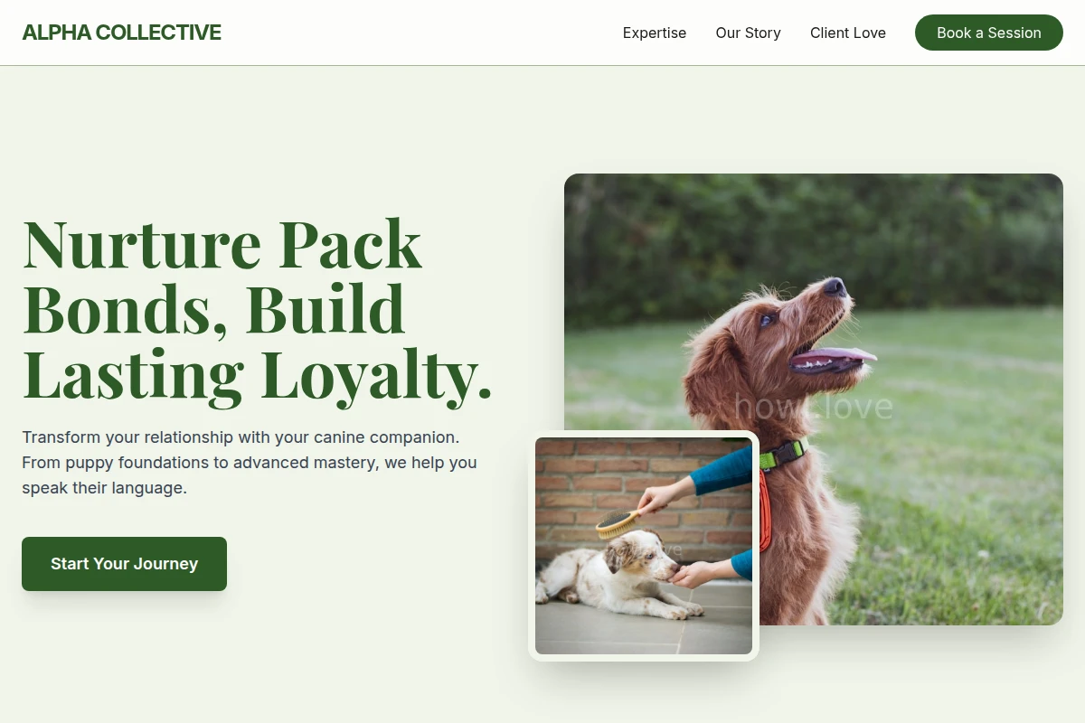 Tail Dog Training