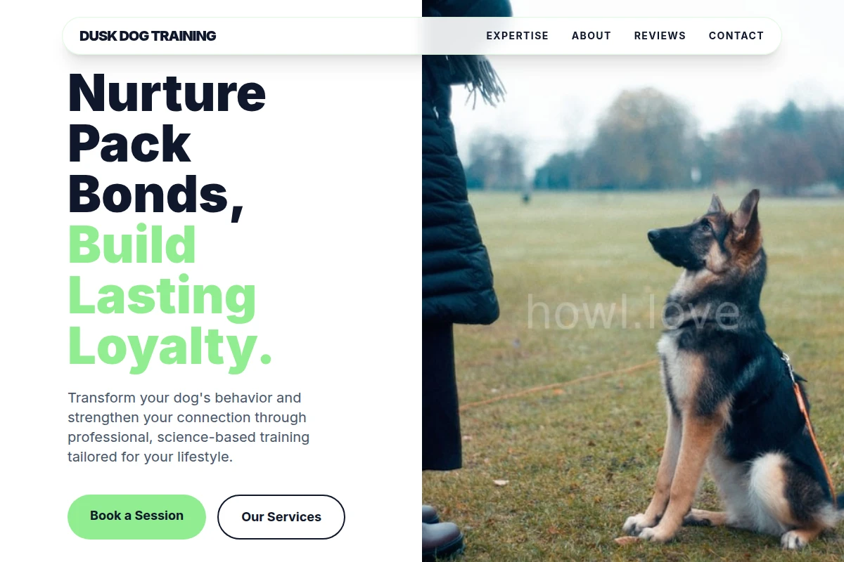 Dusk Dog Training
