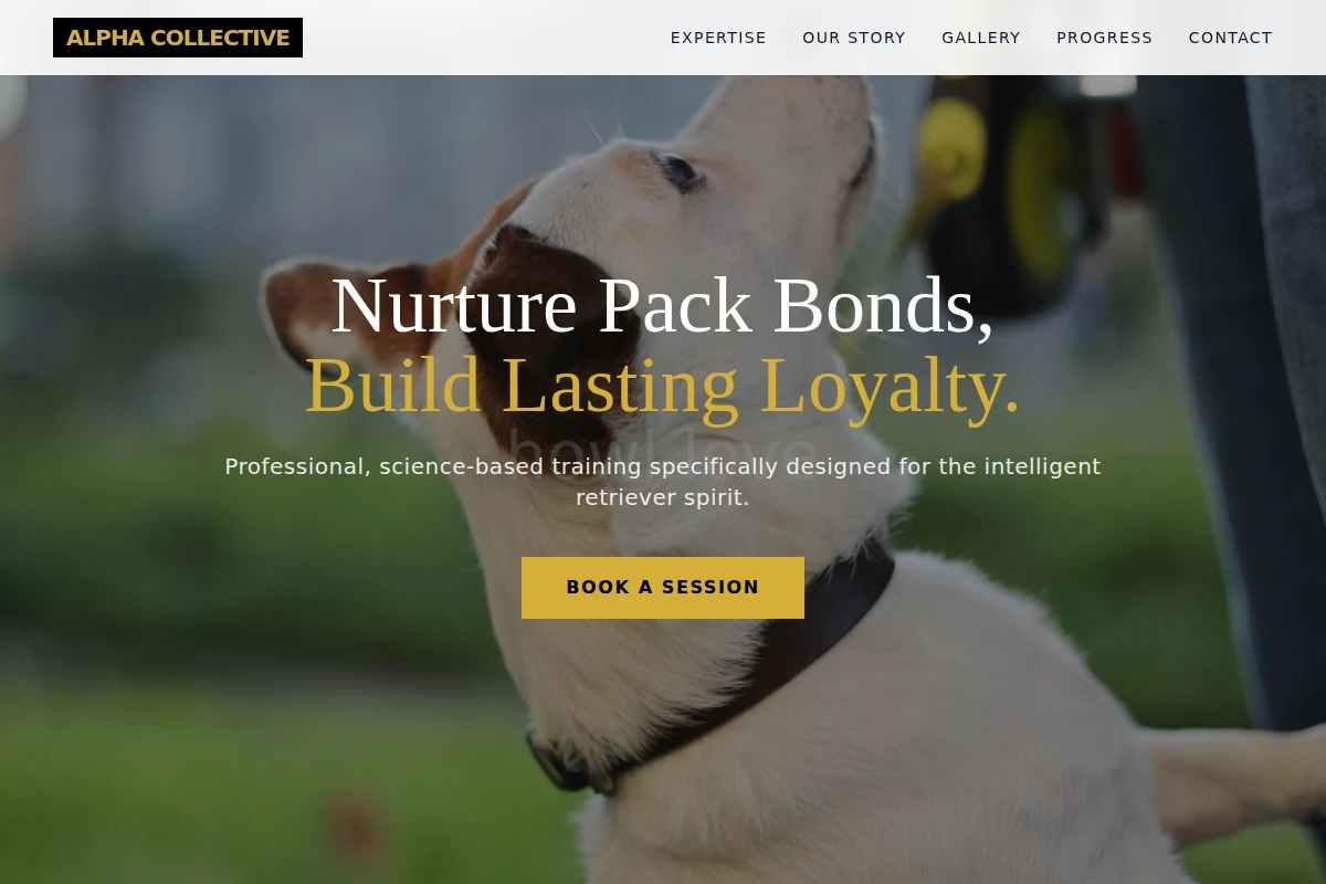 Retriever Dog Training