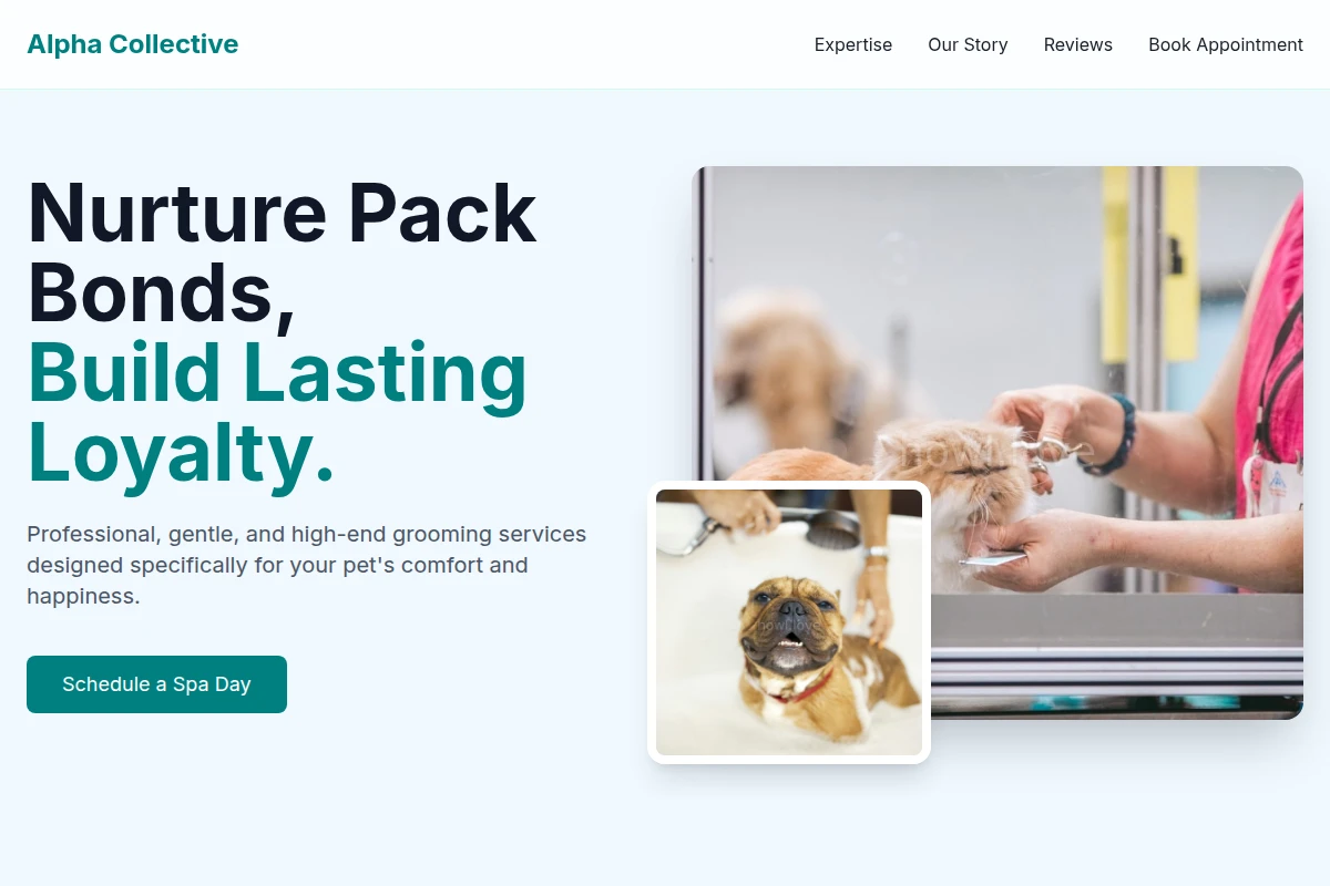 Fur Pet Grooming