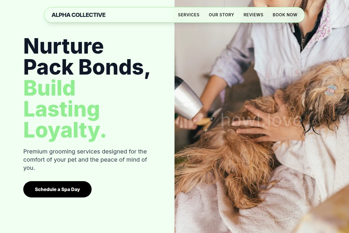 Bond Pet Grooming