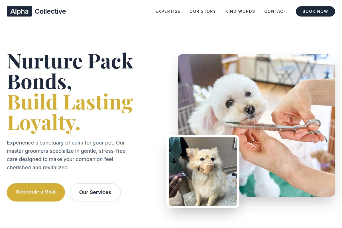 Pack Pet Grooming