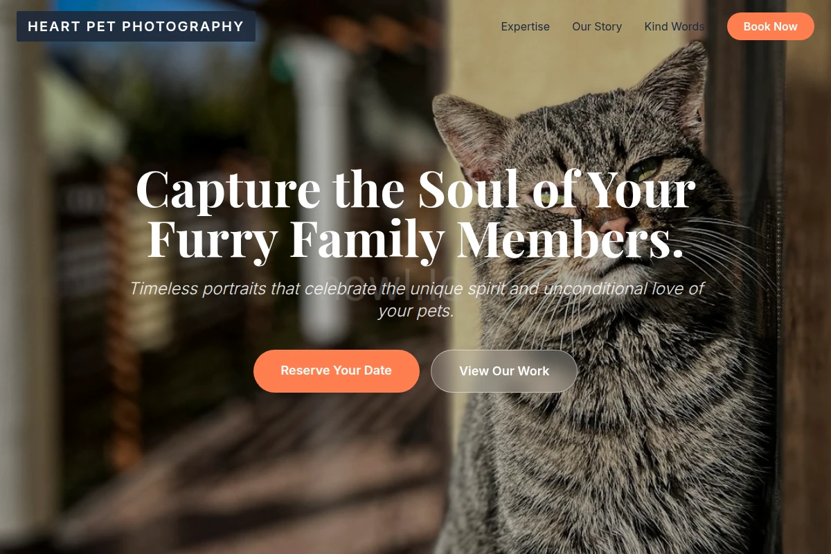 pet-photography
