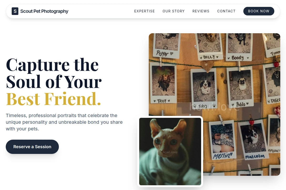 Scout Pet Photography
