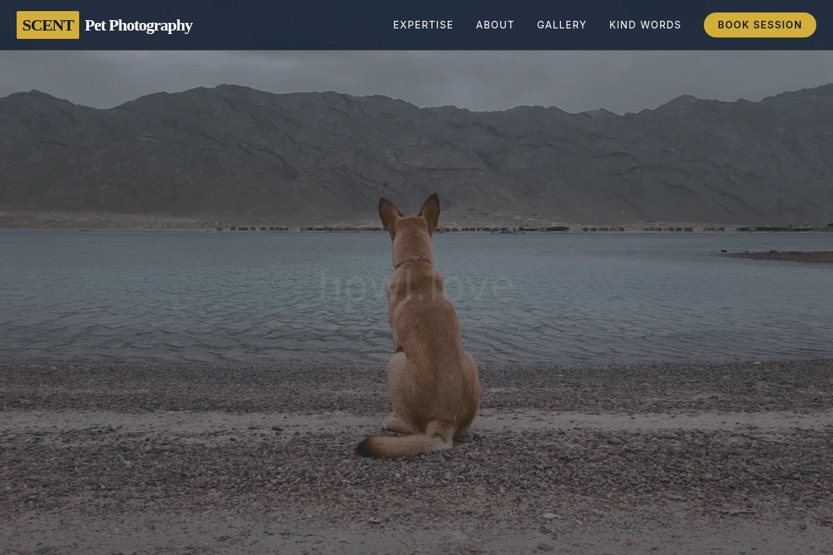 Scent Pet Photography