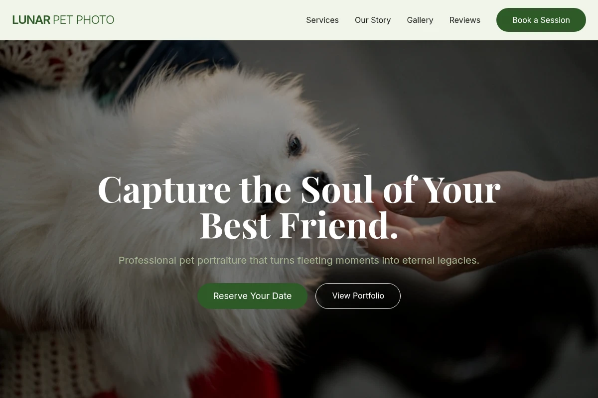 Lunar Pet Photography