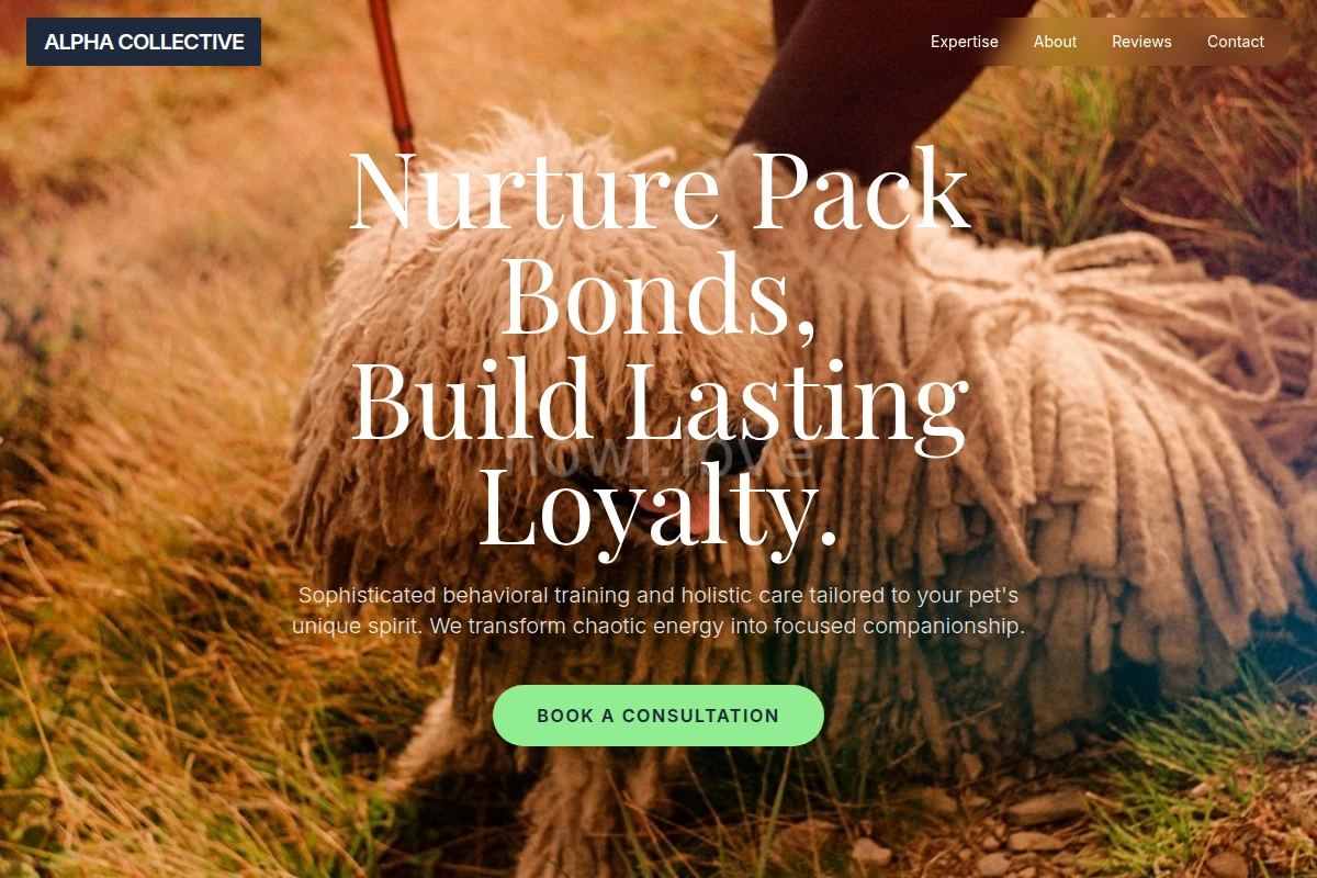 Breed Pet Services