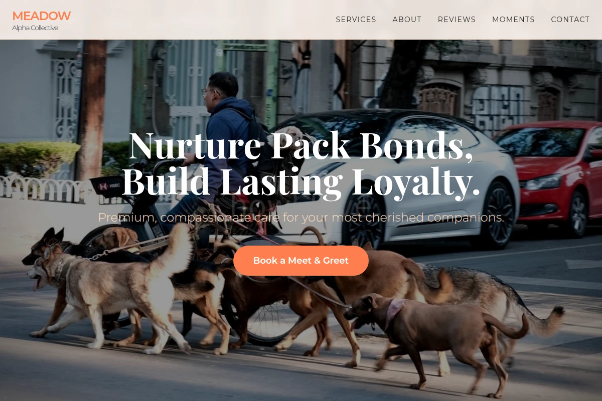 Meadow Pet Services